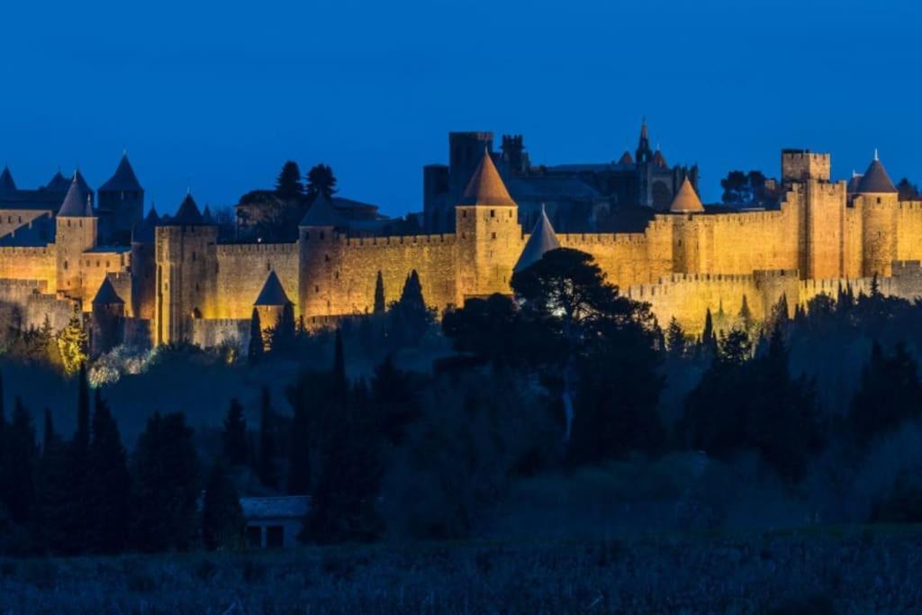 Апартаменты Le Panoramique - Sublime Vue Sur La Cite Каркассон Экстерьер фото